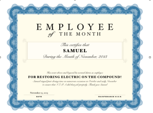 Employee of the month