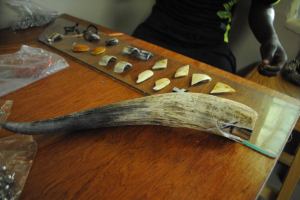 10636854_1726048147619430_8165663666469171368_o