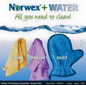 11986431_10154067518152334_934970296776599310_n