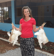 Screen Shot 2016-04-27 at 7.58.28 PM